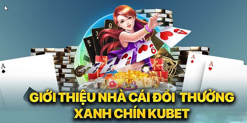 giới thiệu kubet chất lượng